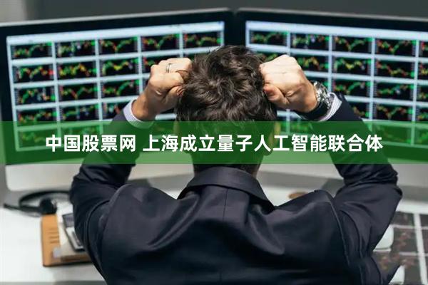 中国股票网 上海成立量子人工智能联合体